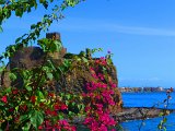 (104)  Aci Castello.jpg